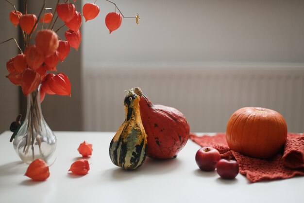 Thanksgiving d'automne et décoration de la maison d'halloween avec des citrouilles