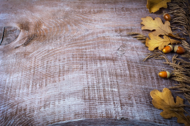 Photo thanksgiving avec avoine, gland et feuilles d'automne