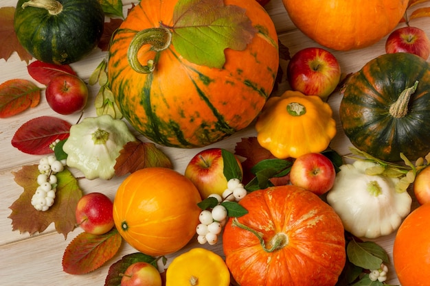 Thanksgiving citrouilles à rayures orange vert feuilles de symphorine courge jaune et blanche