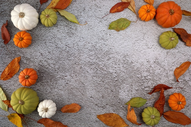 Thanksgiving ou fond de récolte avec des citrouilles et des feuilles d'automne