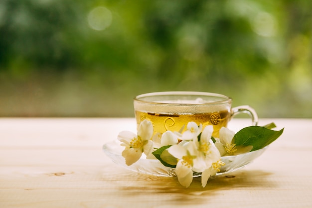 Thé au jasmin dans une douce lumière chaude du soir avec des fleurs de jasmin fraîches