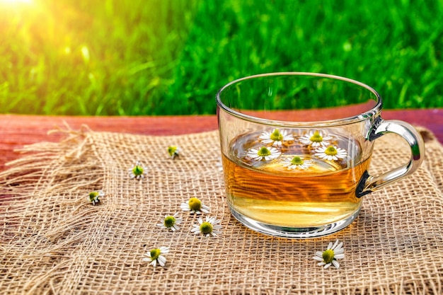 Thé à la camomille dans une tasse transparente avec de petites fleurs de camomille naturelles