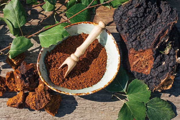 Le Thé Chaga, Un Puissant Antioxydant, Renforce Le Système Immunitaire, Sain Et Naturel, Makin De Champignons Chaga Sauvages