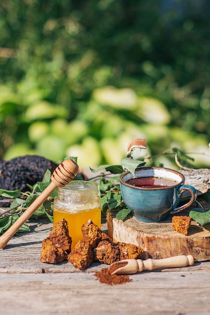 Le thé Chaga, un puissant antioxydant, stimule le système immunitaire, la fabrication de champignons chaga sauvages, sains et naturels.