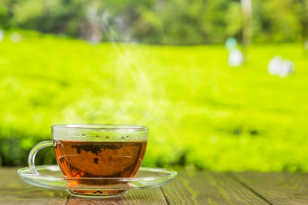 Thé dans une tasse en verre sur la table en bois et les plantations de thé