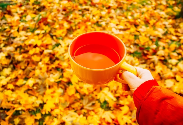 Photo thé et feuilles d'automne