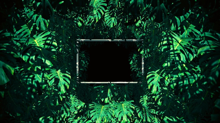Photo the jungle in swiss cheese frame background pour la publicité dans la nature et la scène publicitaire