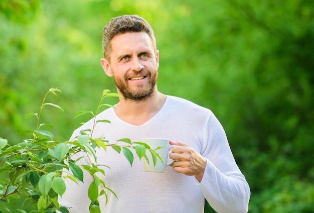 Le thé vert contient des composés bioactifs qui améliorent la santé. Boisson naturelle. Mode de vie sain. Je préfère le thé vert.