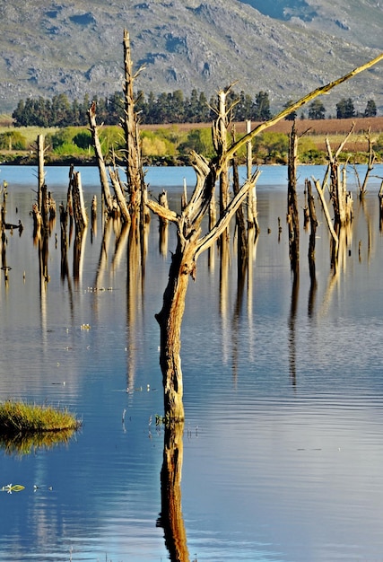 Theewaterskloofdam