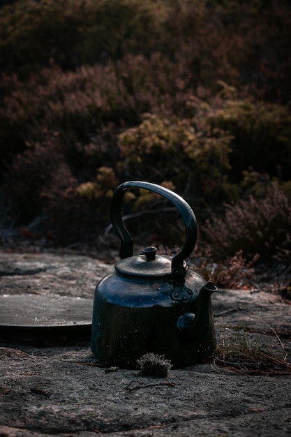 une théière dans la nature