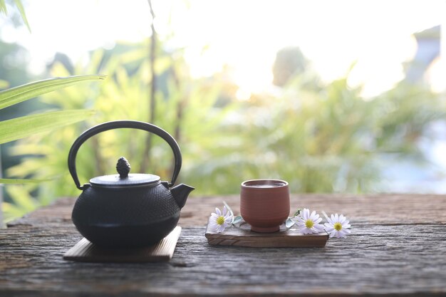 Théière en métal et tasse à thé et pot de plantes sur table en bois