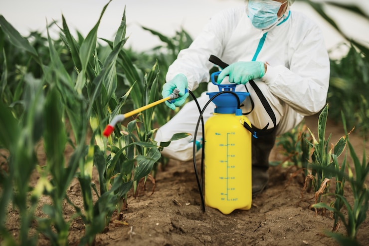 Photo thème de l'agriculture industrielle. homme pulvérisant des pesticides ou des insecticides toxiques sur une plantation de maïs.
