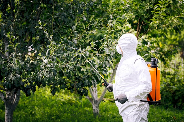 Le thème de l'agriculture industrielle. Une personne pulvérise des pesticides ou des insecticides toxiques sur une plantation. Contrôle de cannabis.