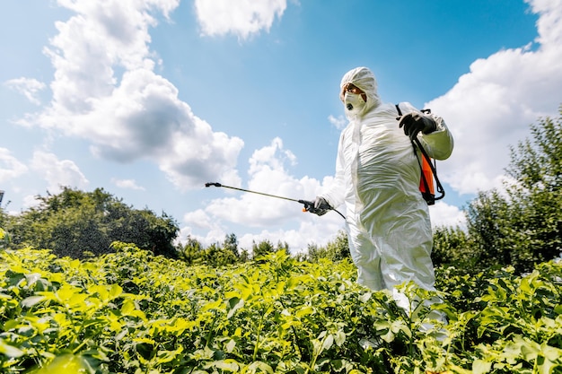 Le thème de l'agriculture industrielle. Une personne pulvérise des pesticides ou des insecticides toxiques sur une plantation. Contrôle de cannabis.