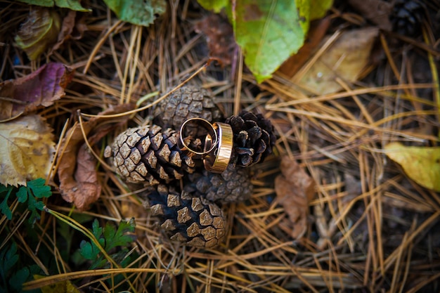 Thème de l'engagement - Bague en diamant sur des pommes de pin