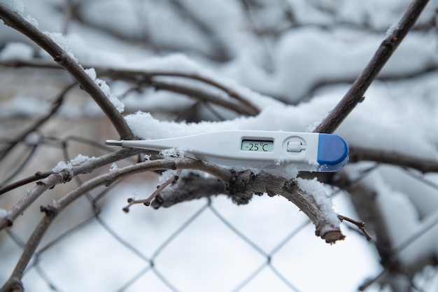 Thermomètre sur une branche d'arbre en hiver