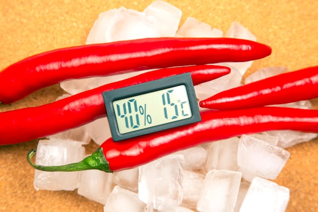 Thermomètre numérique pour mesurer la température et l'humidité de l'air sur le fond de la métaphore du piment rouge