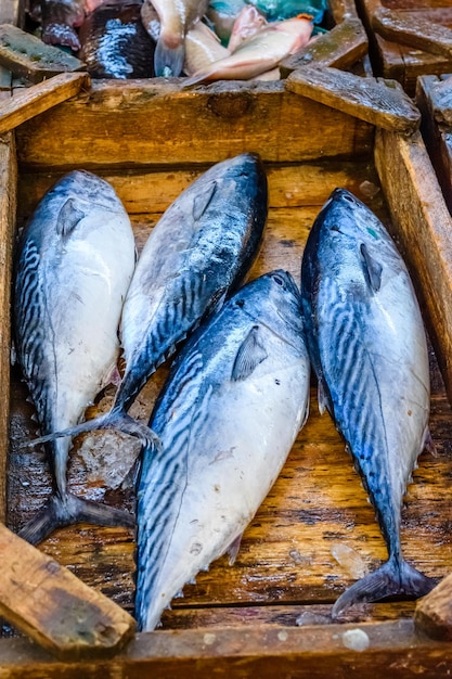 Le thon sur le marché aux poissons dans une ville d'Hurghada Egypte