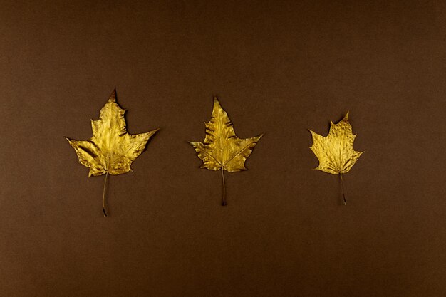 Photo three golden painted maple leaves on dark brown background trendy concept flay lay in minimalism style