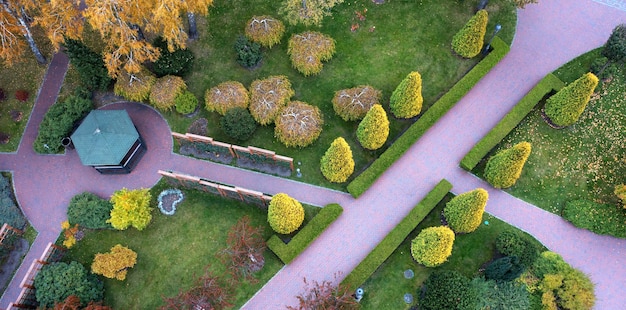 Thuya, buis et plantes ornementales près du chemin du parc.