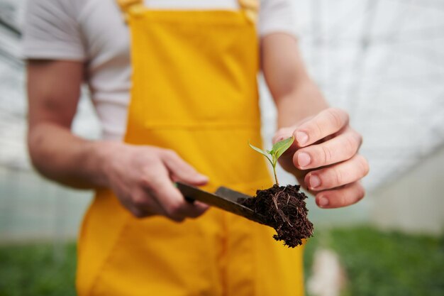 Tient une plante sur un petit showel Un jeune travailleur de serre en uniforme jaune a un emploi à l'intérieur de la serre