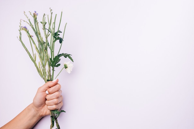 Tiges de fleurs dans une main féminine avec manucure blanche sur un fond clair