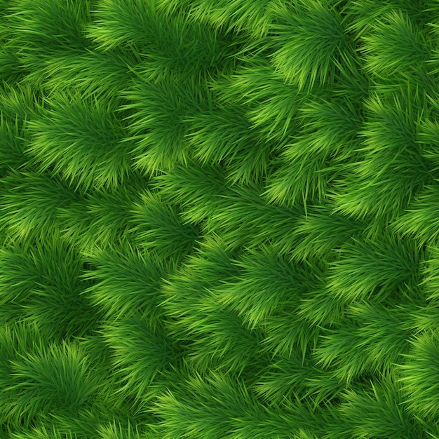 Des tiges de plantes vectorielles libres pour l'illustration de la nature en premier plan en vert isolé