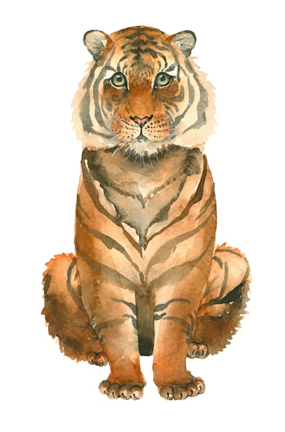 Tigre dessiné à la main