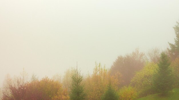 Time-lapse clip Fantastique paysage de montagne coloré avec nuage Ukraine Carpates