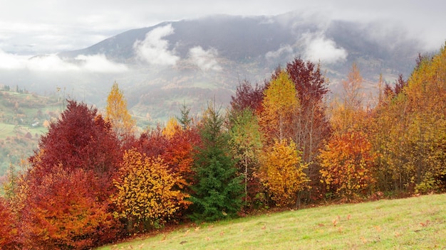 Time-lapse clip Fantastique paysage de montagne coloré avec nuage Ukraine Carpates