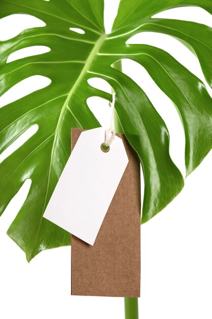 Étiquette d'étiquette maquette sur les feuilles de monstera sur fond blanc concept de vendredi vert