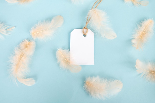 Étiquette vierge blanche avec plumes Plumes roses sur fond bleu Disposition de l'étiquette de prix