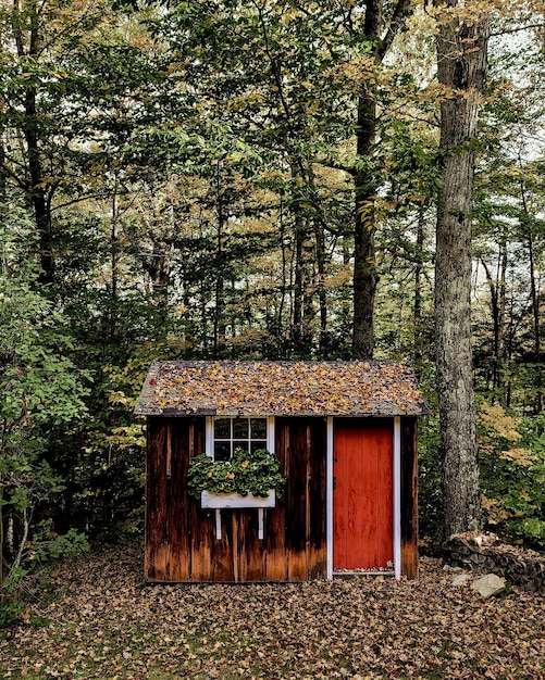 Tir vertical d'un abri confortable dans les bois à la chute des feuilles