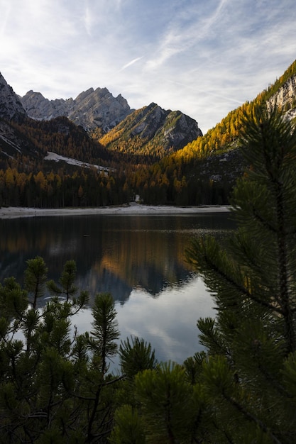 Tir vertical d'arbres d'automne et de montagnes sur un lac à Lago de Braies Italie