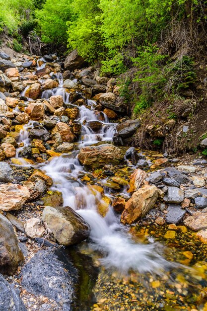 Tir vertical d'une belle rivière qui coule avec des pierres dans un parc