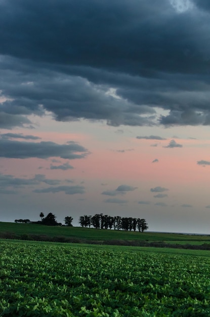 Tir vertical d'un majestueux cloudscape sur un champ agricole en Uruguay Juan Lacaze Colonia