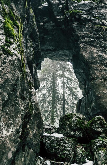 Tir vertical d'une pierre de grotte avec de la mousse verte