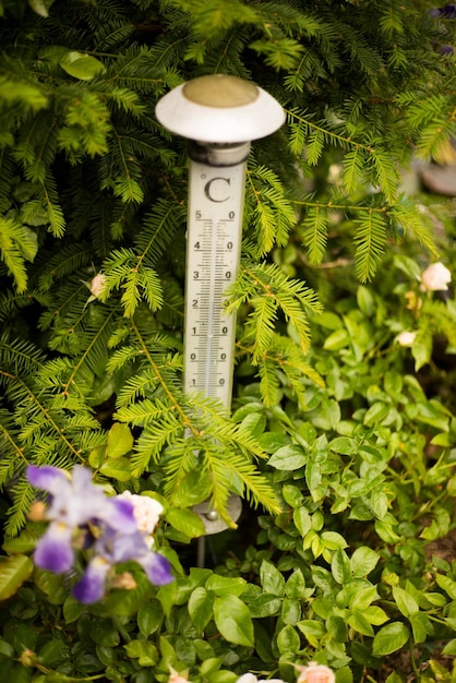 Tir vertical d'un thermomètre dans la verdure