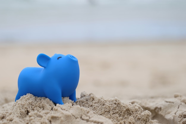 Tirelire Bleue Sur La Plage De La Mer