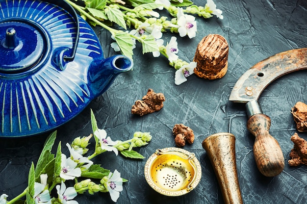 Tisane de guérison de la racine d'althaea dans une théière en céramique.