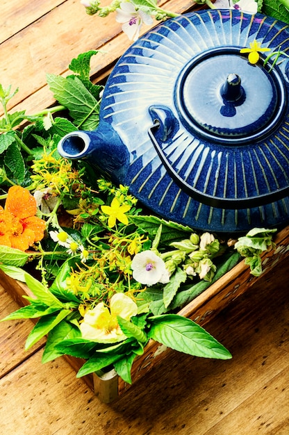 Tisane De Guérison. Théière Avec Du Thé à Base D'herbes Sauvages Fraîches. Phytothérapie. Thé Aux Herbes.