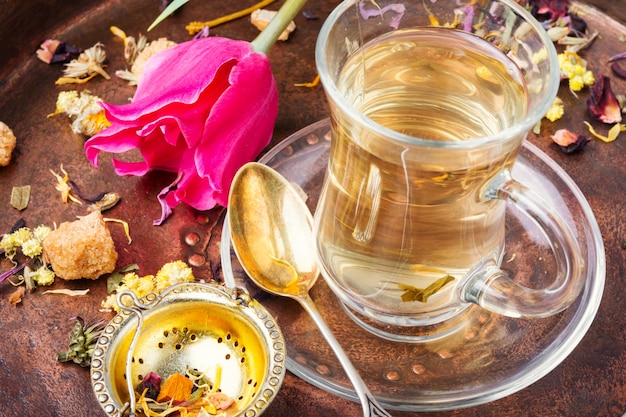 Tisane et tulipe printanière