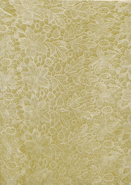 Tissu de dentelle blanche verte par yard