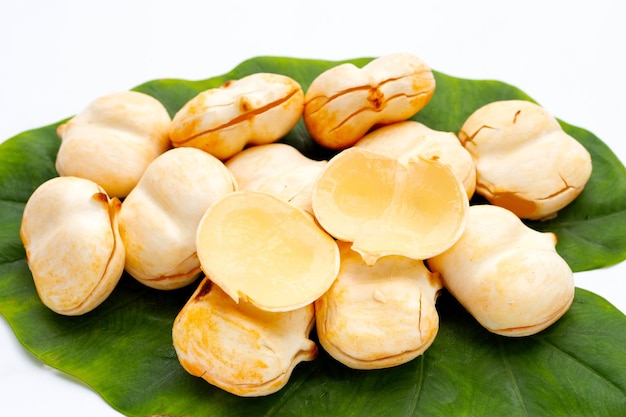 Toddy palmier sur fond blanc