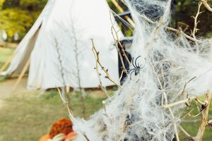 Photo toile d'araignée avec araignée sur des branches sèches idées de décoration de jardin halloween