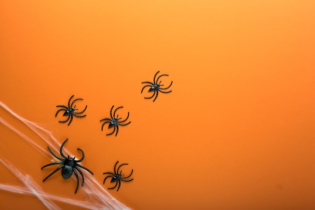 Toile d'araignée d'Halloween et araignées comme symboles d'halloween sur fond orange