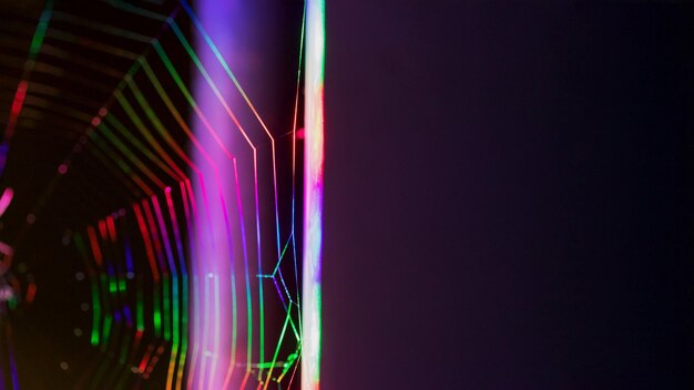 Toile d'araignée ou toile d'araignée ultra colorée lumineuse sur fond sombre