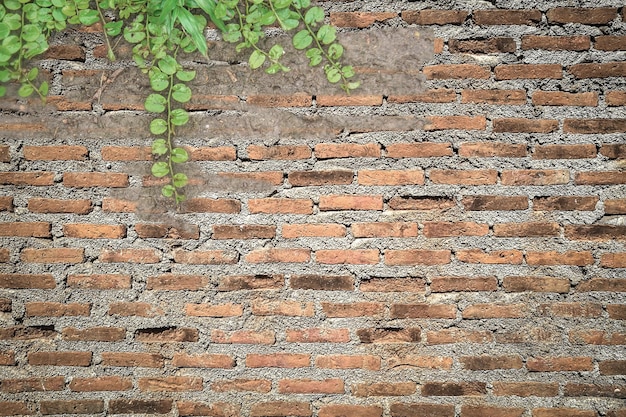 Toile de fond de mur de briques pour le fond