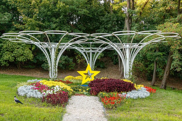 Étoile jaune à côté d'un parterre de fleurs sur l'herbe verte