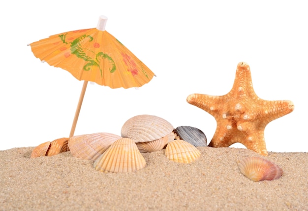 Étoile de mer et coquillages dans le sable de la plage sur fond blanc